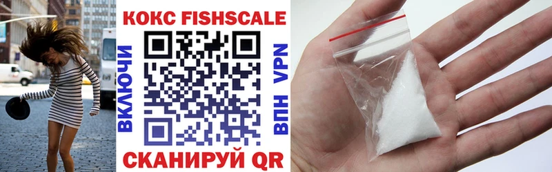 Cocaine FishScale  МЕГА   Лыткарино 
