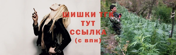 спиды Арсеньев
