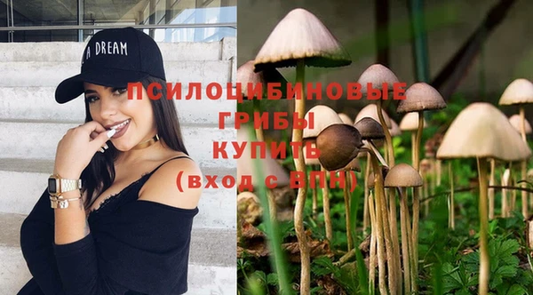 спиды Арсеньев