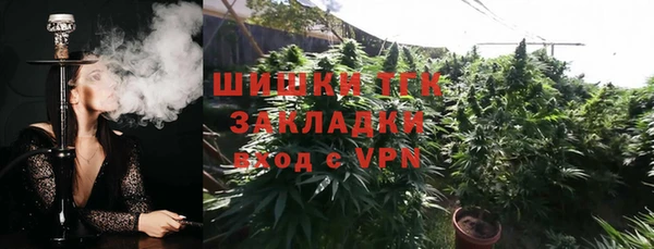 спиды Арсеньев