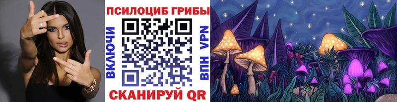 Псилоцибиновые грибы мухоморы  хочу наркоту  Лыткарино 